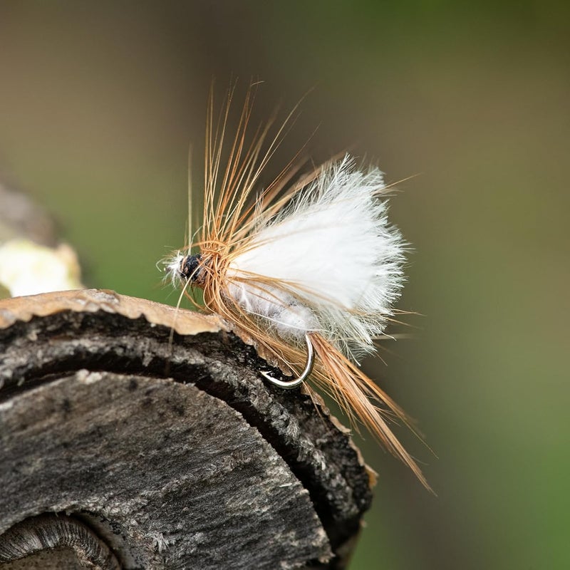 Goture Fly Fishing Flies Kit, 30pcs Dry Wet Flies Streamers Nymphs Fly Fishing Lures Assortment Kit for Bass Trout Steelhead Salmon, Gifts for Men - Image 4